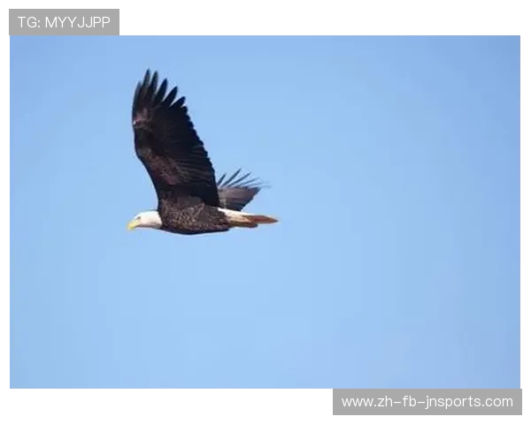 飞鹰翱翔赤狼隐匿：亚平宁绿茵传奇生物谱系探索